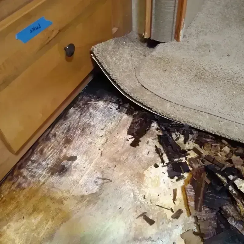 Wood Floor Water Damage in Moultrie County, IL